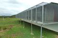 Property photo of 104 Bakers Road Bauple QLD 4650