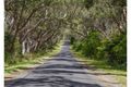Property photo of 134 Crowes Road Bolwarra VIC 3305