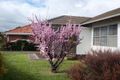 Property photo of 3 Granault Parade Corio VIC 3214