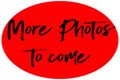 Property photo of 15 Caddy Avenue Urraween QLD 4655