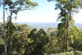 Property photo of 1007 Delicia Road Coolabine QLD 4574