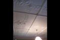 Property photo of 87 Bathurst Road Orange NSW 2800