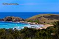 Property photo of 63 Dammerel Crescent Emerald Beach NSW 2456