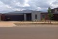 Property photo of 14 Fiona Road Cobblebank VIC 3338