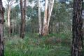 Property photo of 77 Plunkett Street Manjimup WA 6258