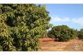 Property photo of 136 Redgum Drive Humpty Doo NT 0836