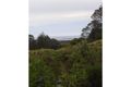 Property photo of 1 Mt Elephant Road Gray TAS 7215