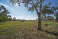 Property photo of 21 McCord Road Two Wells SA 5501