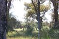 Property photo of 11 Rustic Gardens Carramar WA 6031