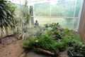 Property photo of 126 Windmill Road Chinchilla QLD 4413