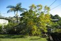 Property photo of 19 Olive Grove Balmoral QLD 4171