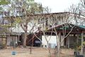 Property photo of 114 Haynes Road Jensen QLD 4818