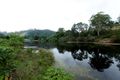 Property photo of 3043 Nowendoc Road Caffreys Flat NSW 2424