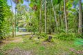 Property photo of 18 Gregory Terrace Kuranda QLD 4881