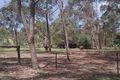 Property photo of 7 Ralstons Road Nelsons Plains NSW 2324