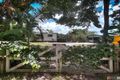 Property photo of 31 Mount Kooyong Road Julatten QLD 4871