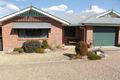 Property photo of 23-25 Granite Street Stanthorpe QLD 4380