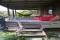 Property photo of 584 Roaring Beach Road Nubeena TAS 7184