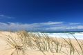 Property photo of 119 Oceanic Drive Warana QLD 4575