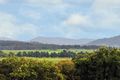 Property photo of 24 Silky Oak Drive Aberglasslyn NSW 2320