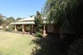 Property photo of 34 Herald Street Narrogin WA 6312
