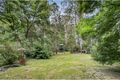 Property photo of 30 Old Reservoir Road Belgrave VIC 3160