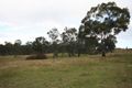 Property photo of 1910 Windeyer Road Windeyer NSW 2850