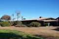 Property photo of 195 Hildebrand Road Cottles Bridge VIC 3099