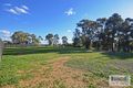 Property photo of 37 Moon Street Eaglehawk VIC 3556