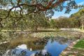 Property photo of 2/37 Church Street Randwick NSW 2031
