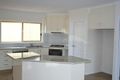 Property photo of 23 Bisogni Drive Cobram VIC 3644