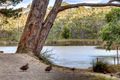 Property photo of 4 Woorabinda Drive Stirling SA 5152