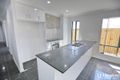 Property photo of 15 Breccia Street Yarrabilba QLD 4207