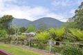 Property photo of 1 Sussex Street Warburton VIC 3799