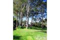 Property photo of 20 Murramarang Road Bawley Point NSW 2539