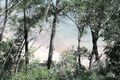 Property photo of 101 Northcove Road Long Beach NSW 2536