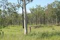 Property photo of 471 Mattson Road Darts Creek QLD 4695