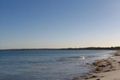 Property photo of 26 Founders Lane Hillarys WA 6025