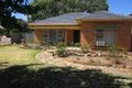 Property photo of 48 Hallett Avenue Tranmere SA 5073