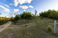 Property photo of 1216 Upper Brogo Road Brogo NSW 2550