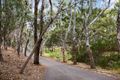 Property photo of 37A Albert Street Windsor Gardens SA 5087