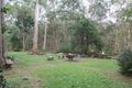 Property photo of 7 Tansey Court Upper Caboolture QLD 4510