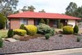 Property photo of 20 Nicholas Court Lyndoch SA 5351
