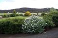 Property photo of 109 Rowes Lane Wallan VIC 3756