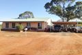 Property photo of 1 Mingelo Street Tottenham NSW 2873