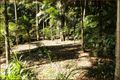 Property photo of 46 Eagle Heights Road Tamborine Mountain QLD 4272