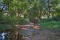 Property photo of 34 Garrawin Court Clear Mountain QLD 4500