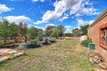 Property photo of 136 Graham Road Narrogin WA 6312