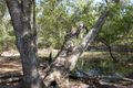 Property photo of 10 Willey Road Fly Creek NT 0822
