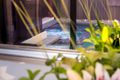 Property photo of 11 Flintlock Drive Harrington Park NSW 2567